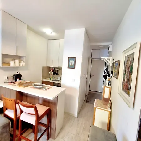 Apartment Manjastan Podgorica